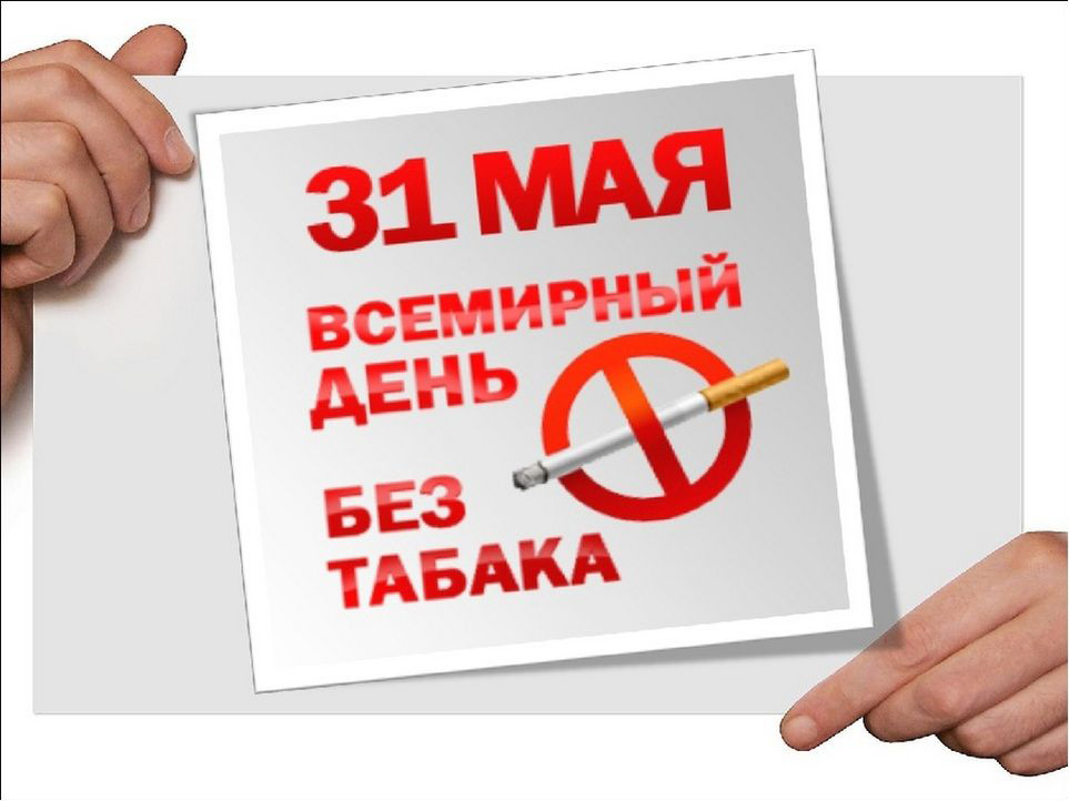 tabak310523 2